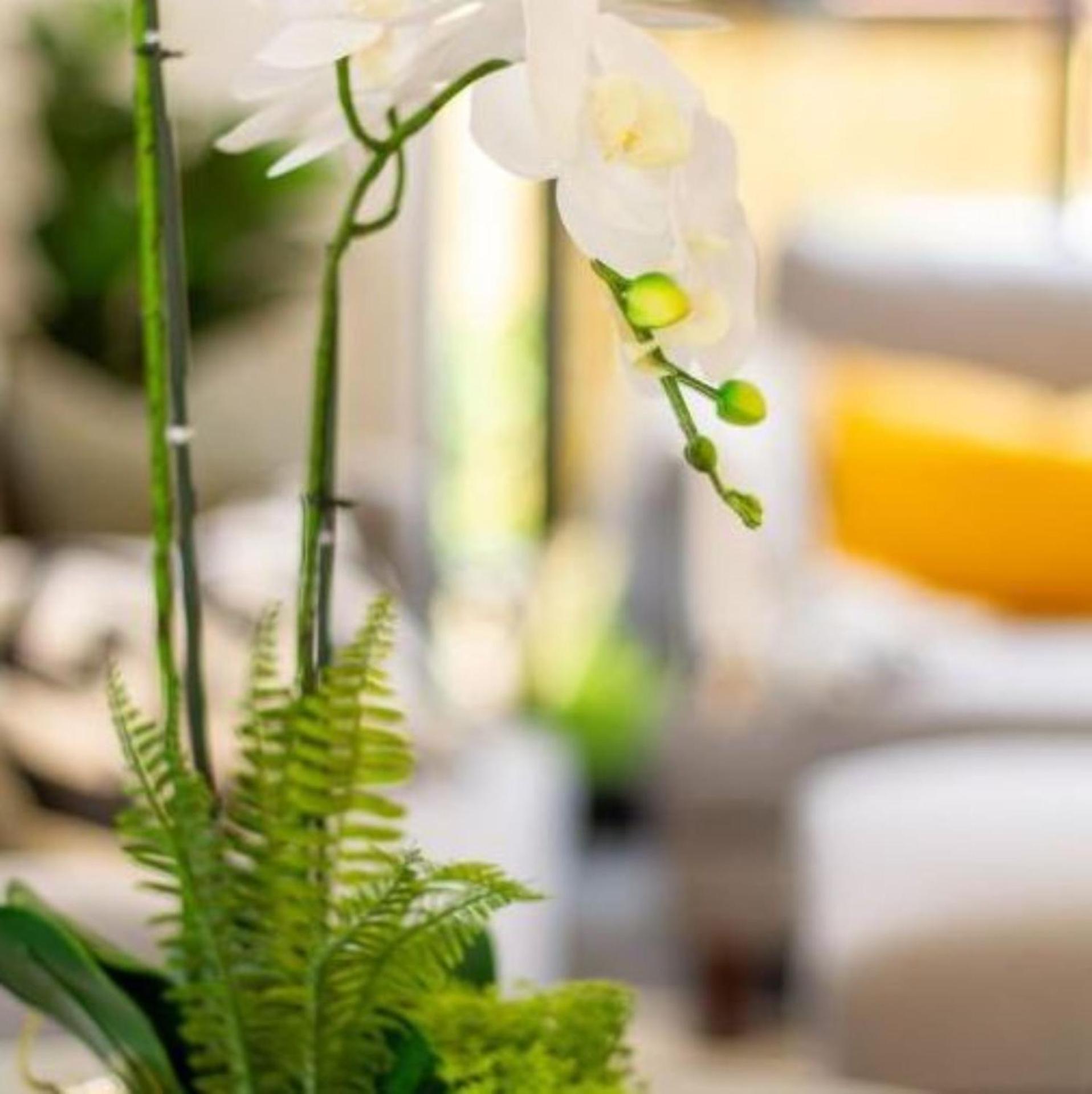 New Sophisticated City Pad Apartment Christchurch Bagian luar foto